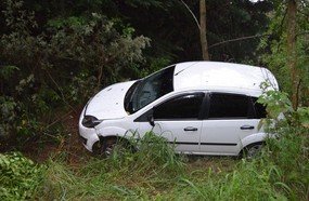 Professora joga veículo para fora da pista para evitar colisão