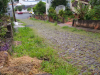 Moradores cobram melhorias em rua tomada pelo mato em Joaçaba
