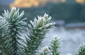 Inverno será marcado pelo frio típico da estação