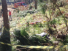 Trabalhador é encontrado morto embaixo de árvores