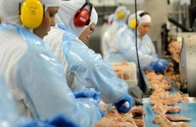 Trabalho em frigoríficos é a atividade industrial que mais gera adoecimentos