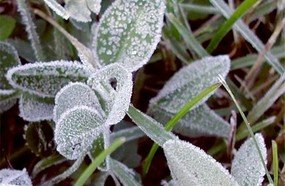 Frio histórico em SC