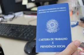Micro e pequenas empresas lideram geração de emprego em SC