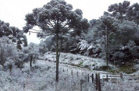 Terça-feira com condição de neve na serra catarinense