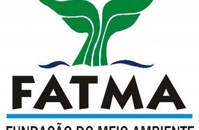 Força-tarefa vai reanalisar licenças de supressão de mata nativa