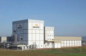 Aurora inicia em agosto embarques para o Japão