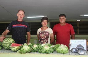 Produtores de Joaçaba investem no cultivo de orgânicos