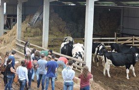 Medicina Veterinária visita propriedades de produção leiteira