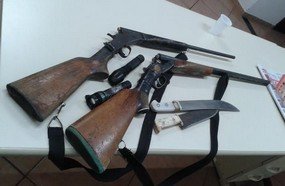 Caçadores são presos com armas e javali abatido