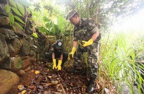 Ação voluntária para limpeza e plantio de árvores no Rio do Tigre