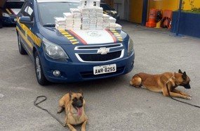 PRF encontra 60 kg de cocaína escondidos em painel de SUV