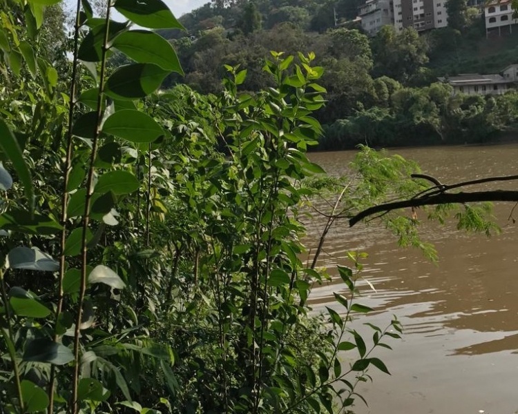 Corpo de mulher é encontrado boiando no Rio do Peixe 