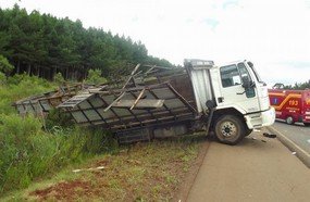 Acidente com caminhão que transportava cavalos na BR-282