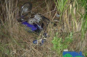 Animal na pista causa acidente em Piratuba