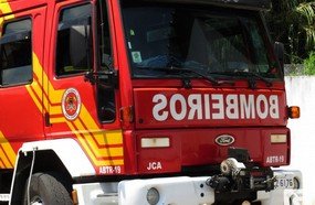 Vendaval derruba árvore sobre casa no bairro Anzolin em Joaçaba