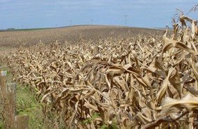 Defesa Civil Estadual e Ciram alertam para novo período de estiagem