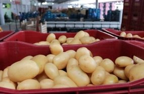 Pesquisa aponta diferença de até 758% no valor de um mesmo produto 