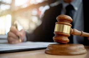 Condenado homem que abusou sexualmente de cadela em Catanduvas 