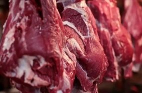 Vendas de carne bovina à China são suspensas após caso de vaca louca