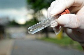 Mais três focos de Aedes Aegypti confirmados em Joaçaba