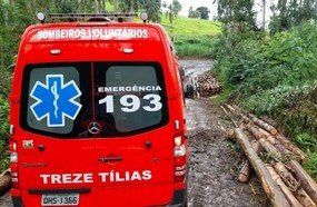 Trabalhador morre atingido por eucalipto durante corte de árvores