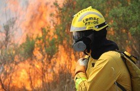 Homem é preso após atear fogo em vegetação na BR-282