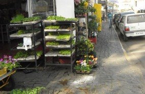 Videira vai multar comerciante que utilizar calçada