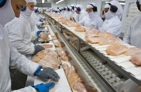 Agroindústrias catarinenses retomam atividades
